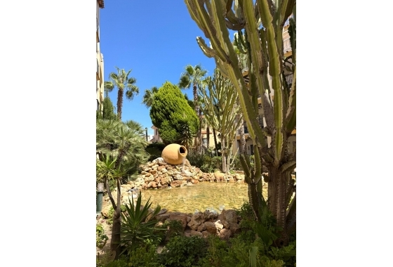 Wiederverkauf - Penthouse - Torrevieja - Los Frutales