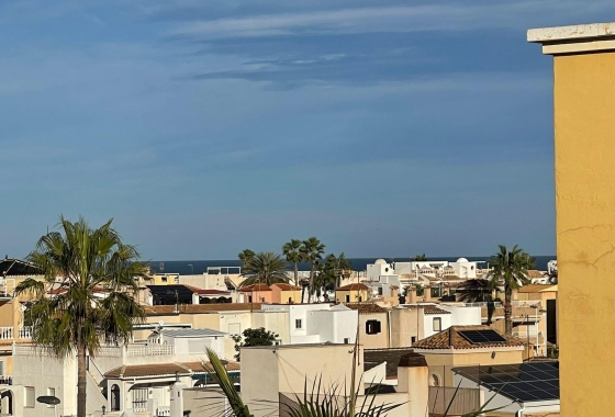 Wiederverkauf - Penthouse - Torrevieja - Los Frutales