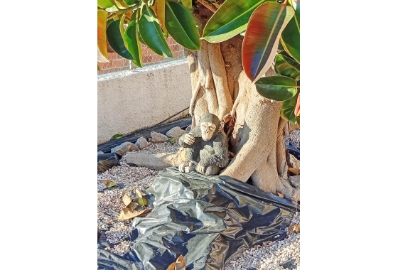 Перепродажа - Вилла - Torrevieja - La Siesta