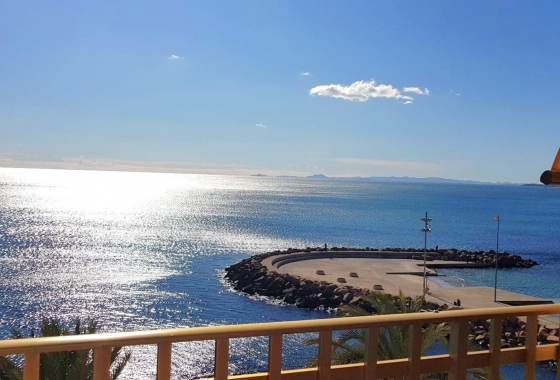 Revente - Appartement - Torrevieja - Estacion De Autobuses