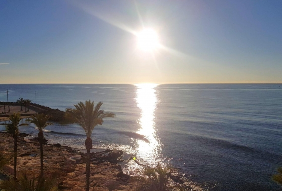 Revente - Appartement - Torrevieja - Estacion De Autobuses