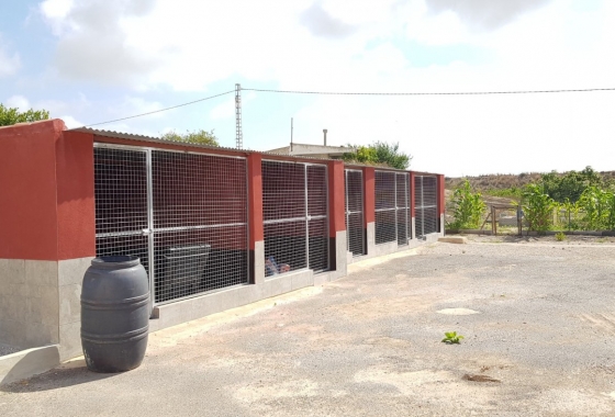 Reventa - Finca - Los Montesinos