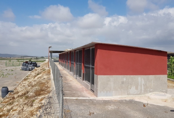 Reventa - Finca - Los Montesinos