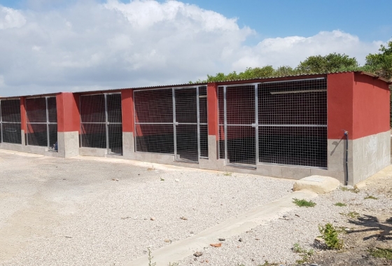 Reventa - Finca - Los Montesinos