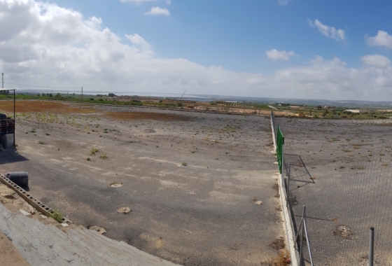 Reventa - Finca - Los Montesinos