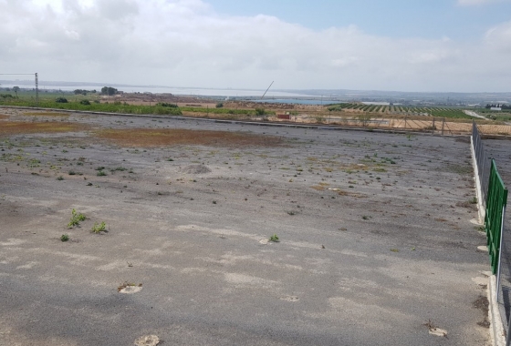 Reventa - Finca - Los Montesinos