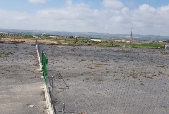 Reventa - Finca - Los Montesinos