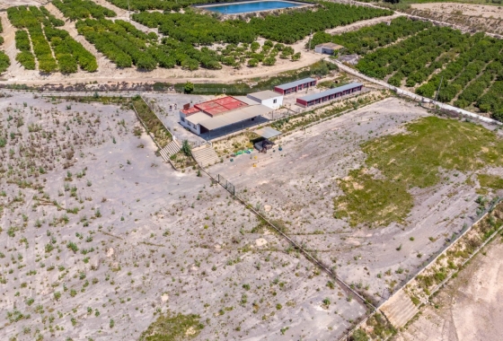 Reventa - Finca - Los Montesinos