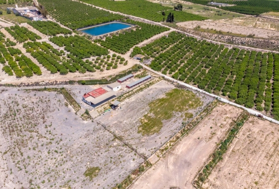 Reventa - Finca - Los Montesinos