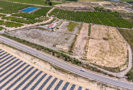 Reventa - Finca - Los Montesinos