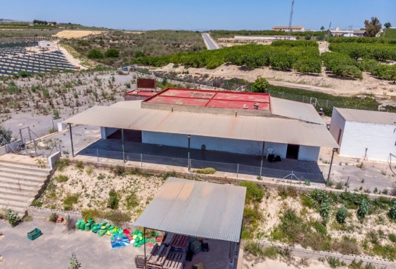 Reventa - Finca - Los Montesinos