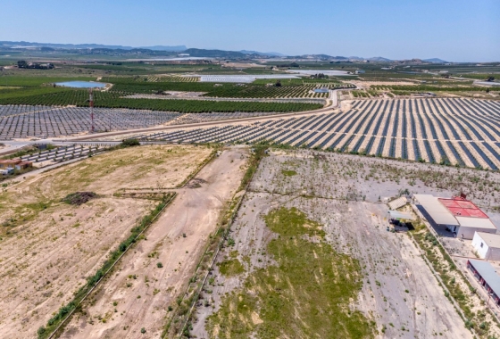 Reventa - Finca - Los Montesinos