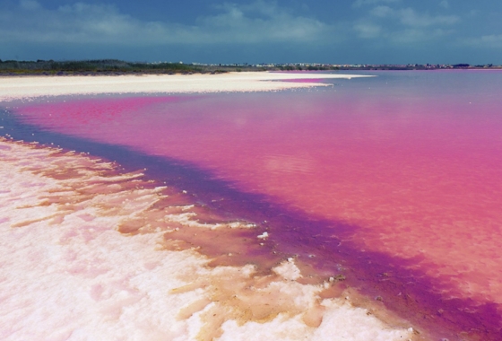 Resale - Apartment / flat - Orihuela Costa - Costa Blanca