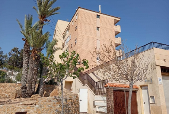 Wiederverkauf - Wohnung - Mil Palmeras - Costa Blanca