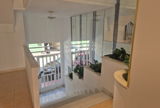 Resale - Apartment / flat - Torrevieja - LA LOMA