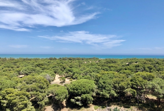 New Build - Apartment / flat - Guardamar del Segura - Centro