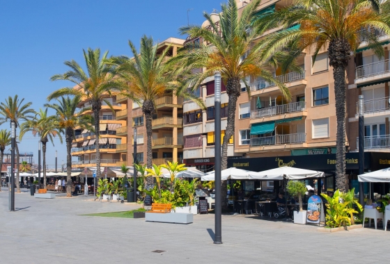 Wiederverkauf - Penthouse - Torrevieja - Playa del Cura
