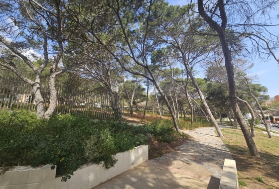 Resale - Apartment / flat - Guardamar del Segura - Guardamar pueblo