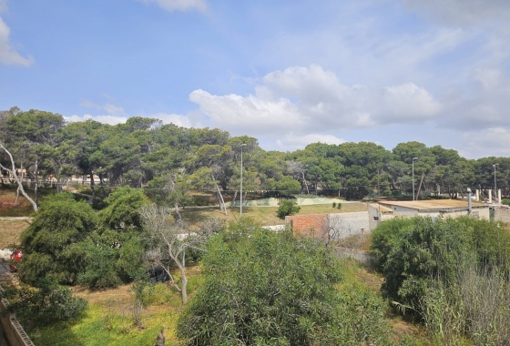 Resale - Apartment / flat - Guardamar del Segura - Guardamar pueblo