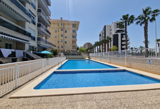 Reventa - Apartamento / piso - Guardamar del Segura - SUP-7 & Port Area