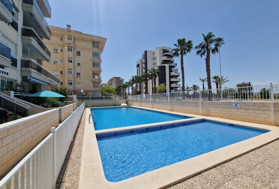 Reventa - Apartamento / piso - Guardamar del Segura - SUP-7 & Port Area