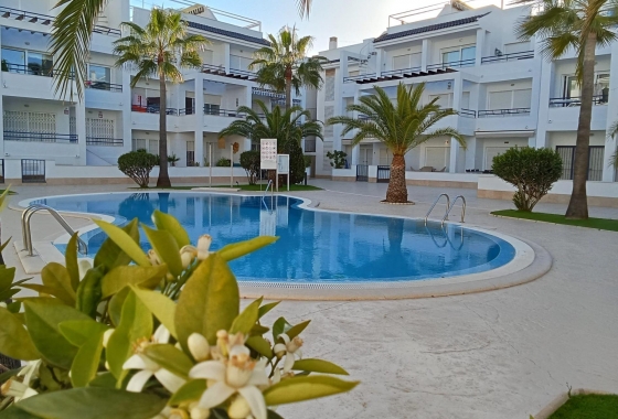 Resale - Penthouse - Torrevieja - La Veleta