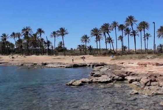 Resale - Penthouse - Torrevieja - La Veleta