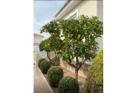 Resale - Villa - Ciudad Quesada - Lo Marabú