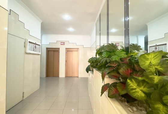 Herverkoop - Appartement / flat - Torrevieja - PARQUE DE LAS NACIONES