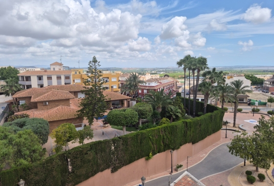 Resale - Apartment / flat - San Miguel de Salinas - san-miguel-de-salinas