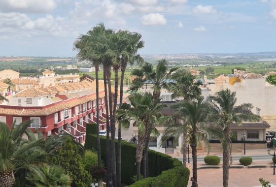 Resale - Apartment / flat - San Miguel de Salinas - san-miguel-de-salinas