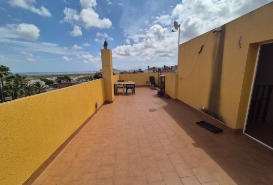 Resale - Apartment / flat - San Miguel de Salinas - san-miguel-de-salinas