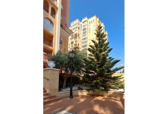Resale - Apartment / flat - Torrevieja - Los Frutales