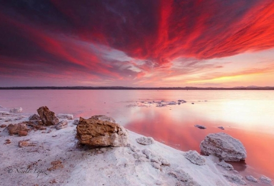 Återförsäljning - Radhus - Torrevieja - La Siesta
