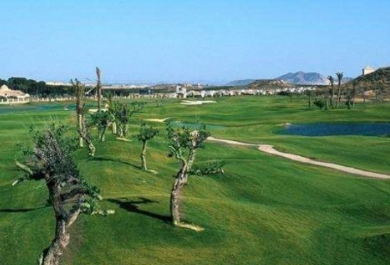 Neue Gebäude - Chalet - Sucina - Peraleja Golf