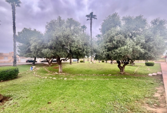 Revente - Bungalow - Torrevieja - Paraje Natural