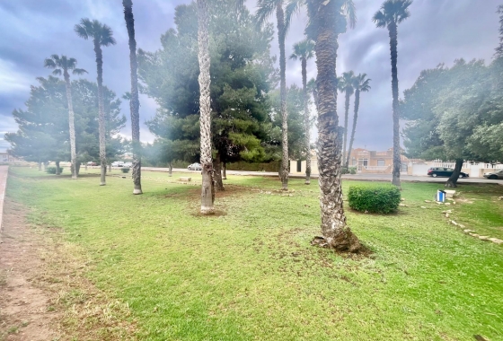 Revente - Bungalow - Torrevieja - Paraje Natural