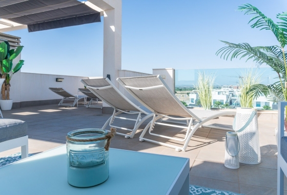Revente - Appartement - Guardamar del Segura - Costa Blanca