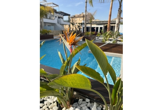 Resale - Apartment / flat - Orihuela Costa - Rocio Del Mar