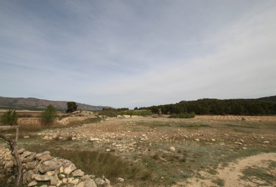 Wiederverkauf - Finca - Monóvar/Monóver - Inland