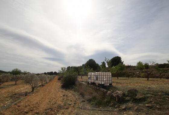 Wiederverkauf - Finca - Monóvar/Monóver - Inland