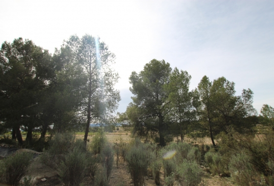 Wiederverkauf - Finca - Monóvar/Monóver - Inland