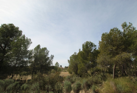Wiederverkauf - Finca - Monóvar/Monóver - Inland