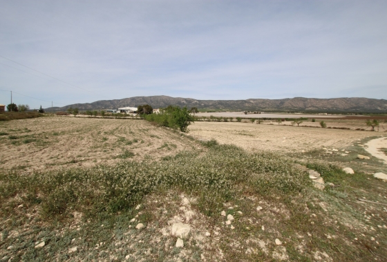 Wiederverkauf - Finca - Monóvar/Monóver - Inland