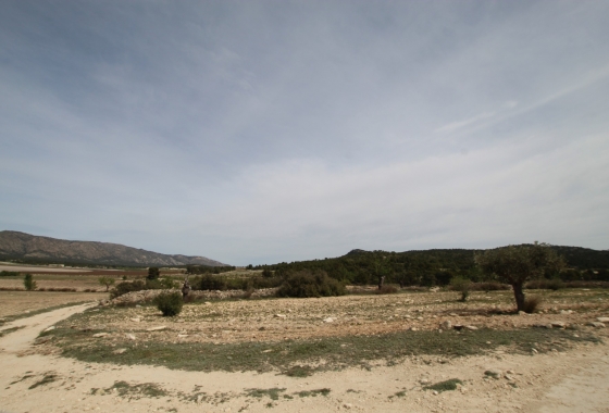Wiederverkauf - Finca - Monóvar/Monóver - Inland