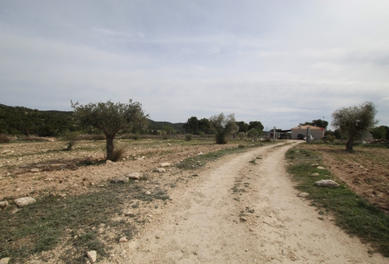 Wiederverkauf - Finca - Monóvar/Monóver - Inland