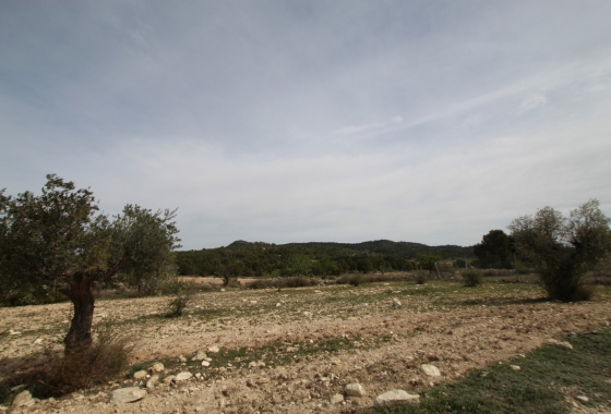 Wiederverkauf - Finca - Monóvar/Monóver - Inland