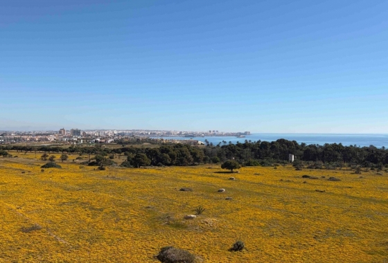 Resale - Apartment / flat - Orihuela Costa - Costa Blanca
