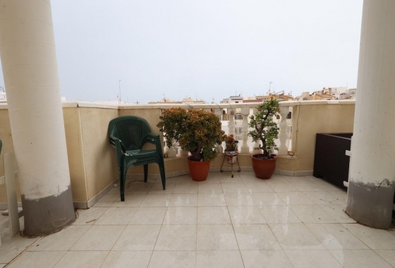 Wiederverkauf - Penthouse - Torrevieja - Costa Blanca