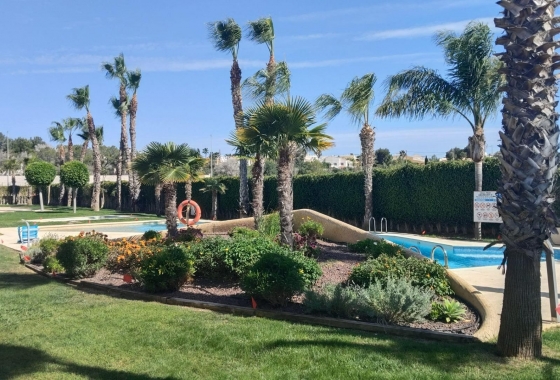 Resale - Apartment / flat - Orihuela Costa - Pau 8